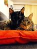 Betty & Chloe 3